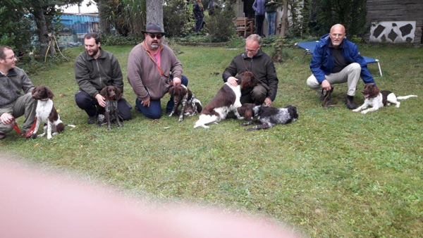 Welpentreffen L-Wurf