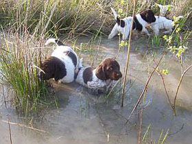 Erste Wassererfahrung
