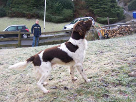 Lauser vom Kohlbacherhof 