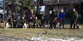 Vom Auenwald Treffen zur VJP-Vorbereitung