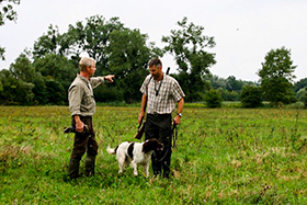 Jagdhundschule Vom Auenwald