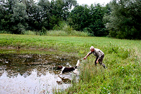 Jagdhundschule Vom Auenwald