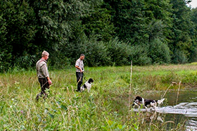 Jagdhundschule Vom Auenwald
