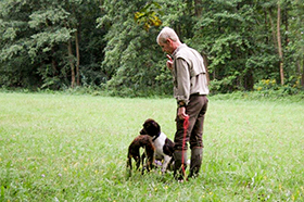 Jagdhundschule Vom Auenwald