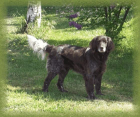 Aike von der alten Ziegelei