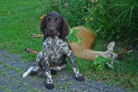 Casper mit seinem ersten Bock